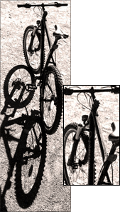 Cropping an image