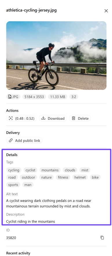 Media item details pane where you define image attributes