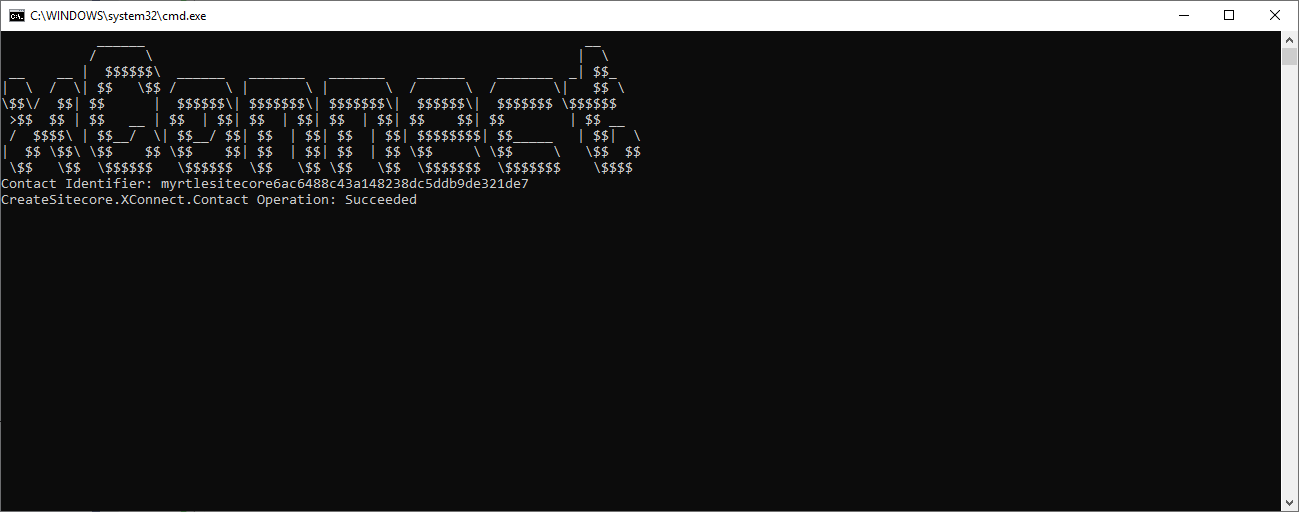 A terminal with the contact details in the app output.